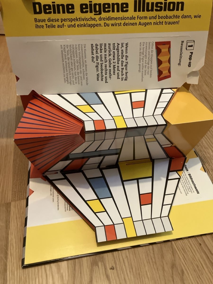 Libri: Optical Illusions Book with Pop-Ups - Mind-Bending Fun! – Usato da Zürich venduto da papperlapapp1 1