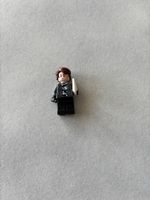 Jurassic Park Figur Lego 