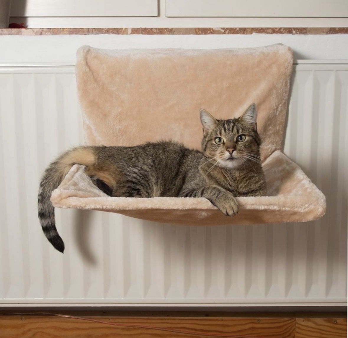 Liegen & Liegestühle: Katzen Heizungsliege / Liegemulde – Neu (gemäss Beschreibung) aus Rünenberg von ZwergLi100