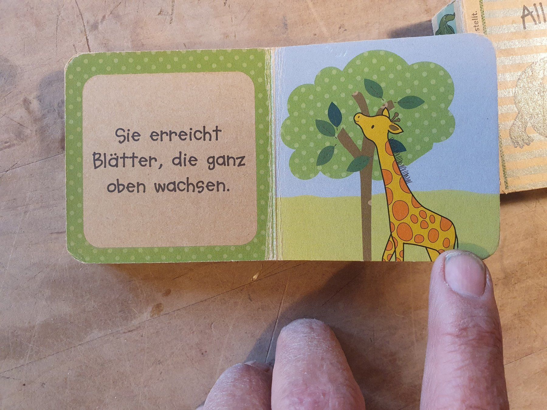 Libri: Konvolut 3 Stk Kinderbücher Tiere – Usato da Zürich venduto da loosebone 1