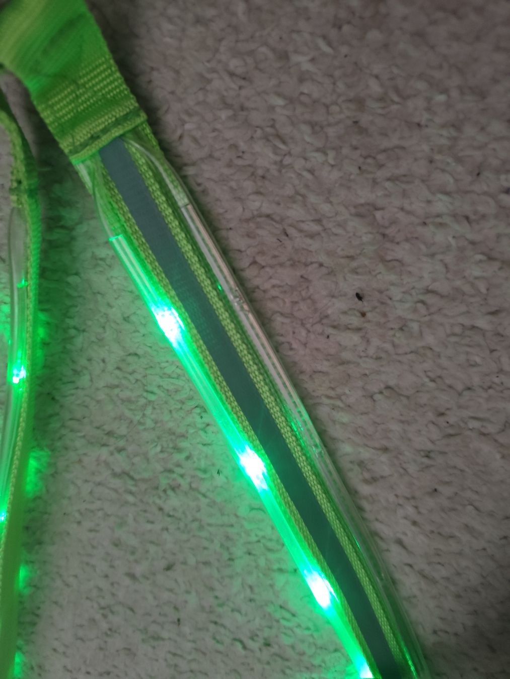 Brides, licols: NEUES LED Vorgeschirr  – Défectueux à Kerzers par sb_12 1