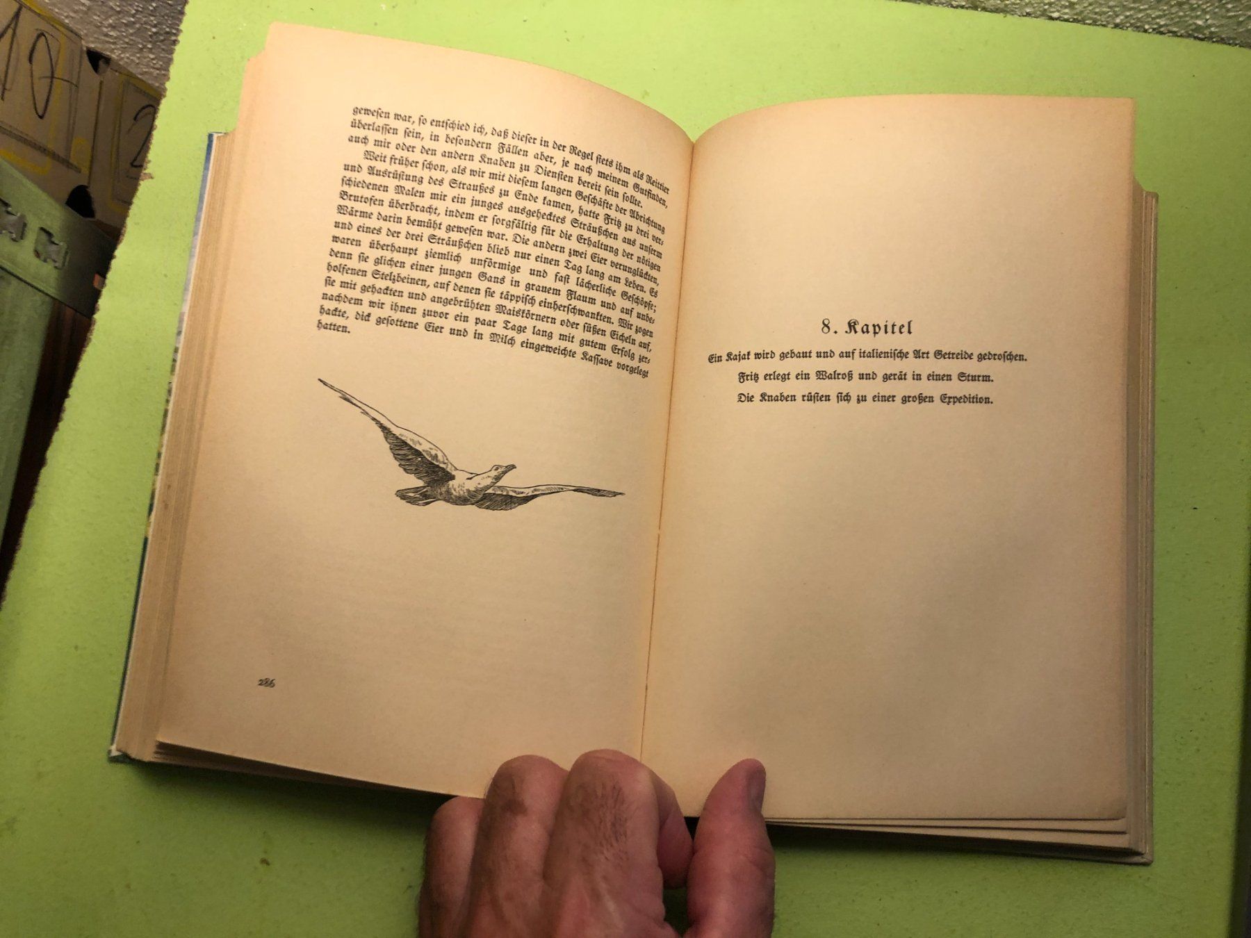 Libri: Johann David Wyss: Der schweizerische Robinson. – Usato da Zürich venduto da allp 6