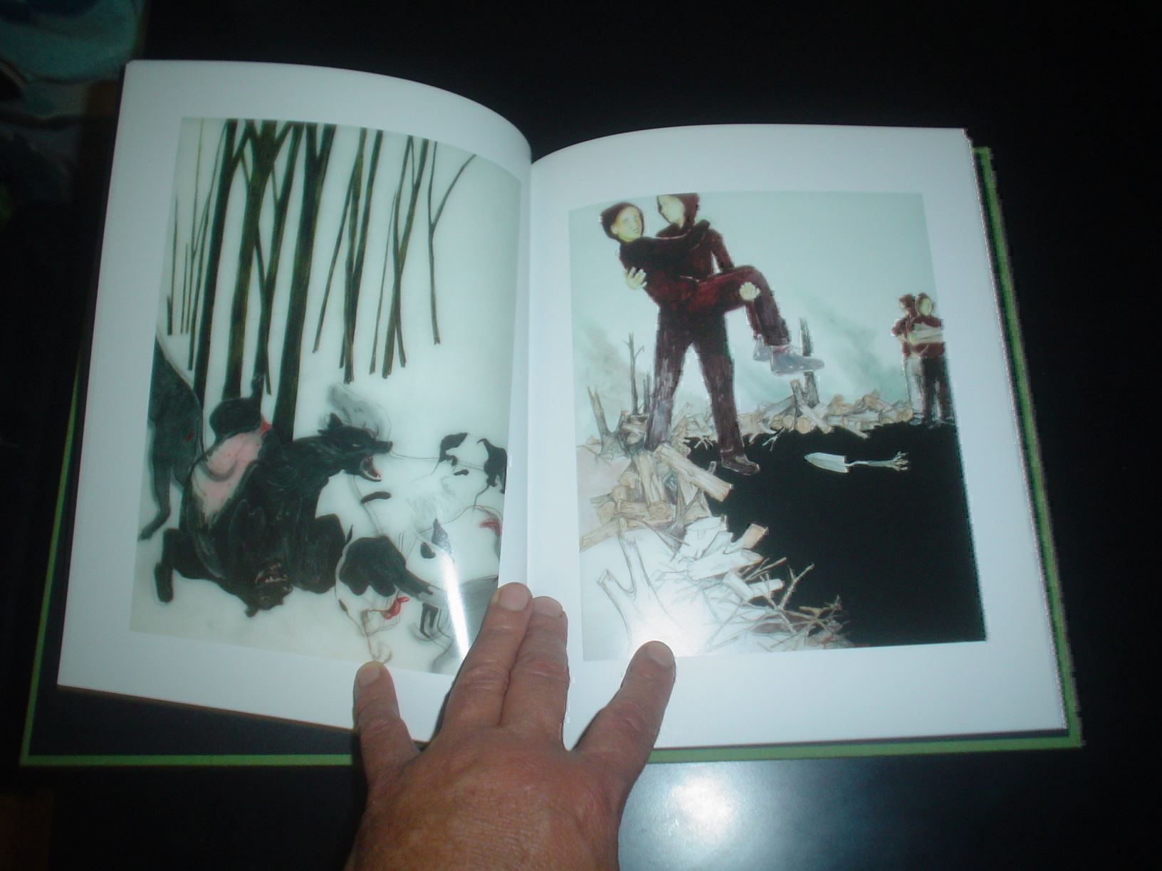 Livres: Anthony Goicolea Interessante Kunst – D'occasion à Welschenrohr par Regool 3