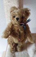 Clemens Teddy, Sammlerstück 1999 ca. 25cm gross, aus Vitrine