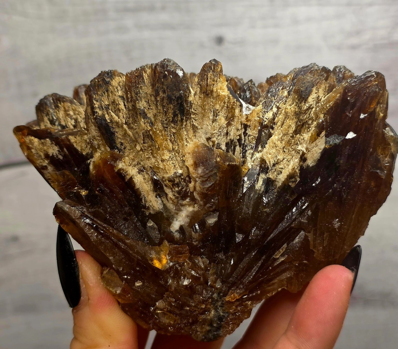 Minerali & Pietre curative: Bernstein Calcit Roh B 500g – Nuovo e nell'imballaggio originale da Matzingen venduto da Shay_Crystalz 2