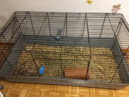 Meerschweinchen-Käfig