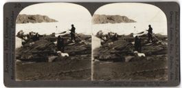 Stereo-Fotografie Keystone View Company,