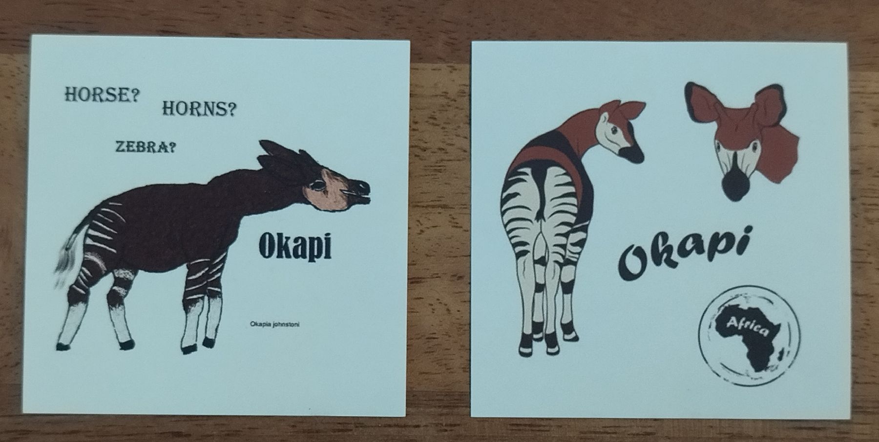 Aufkleber: Okapi Aufkleber Sticker, 5x5 cm, 10 Stück – Neu und originalverpackt aus Mettau von Salamander216