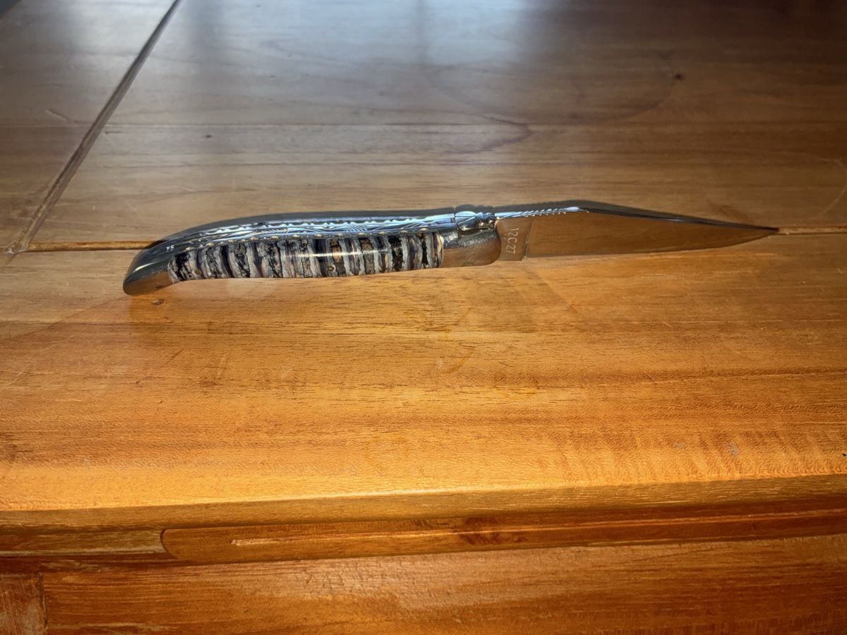 Laguiole Accessori: Laguiole mammut griff messer  – Usato da Wallisellen venduto da vin_9tfj 2