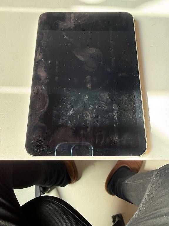 Tablet PC: iPad mini  – Usato da Ebikon venduto da Bubich 1