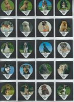 KRD Hundearten 1996 / 365 A