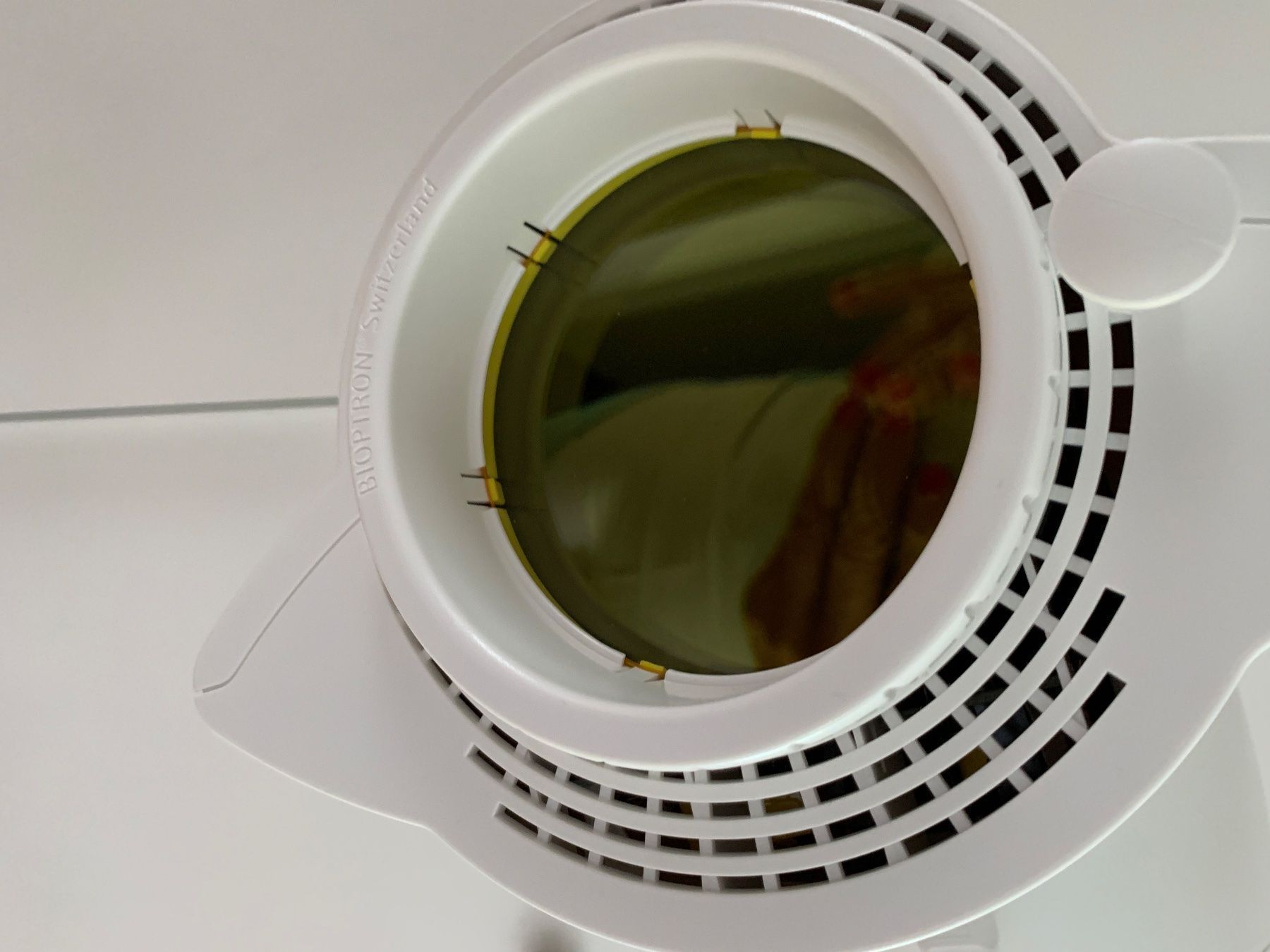 Bioptron Lampade: BIOPTRON BIOPTRON PRO1  WIE NEU – Nuovo (secondo la descrizione) da Adliswil venduto da atram57 3