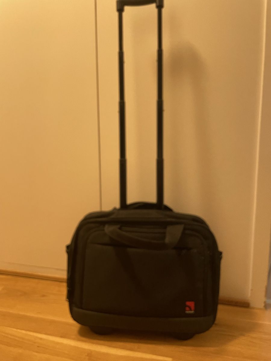 Borse: Reisetasche cockpit – Nuovo (secondo la descrizione) da Bern venduto da calana80