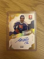 Marko Daňo 04/20, Signed stars, SportZoo
