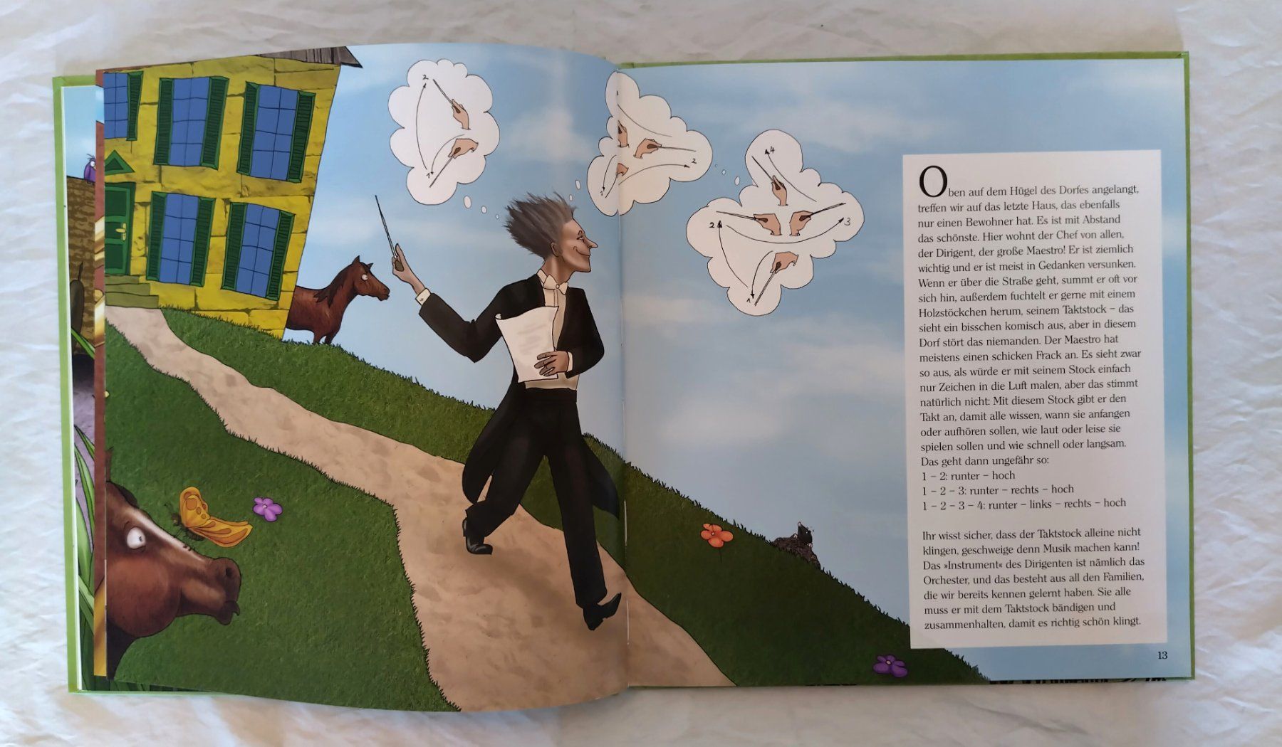 Libri: Die Hexe und der Maestro - Bilderbuch mit CD ab Fr. 8.- – Usato da Bellach venduto da JingleJerry 4