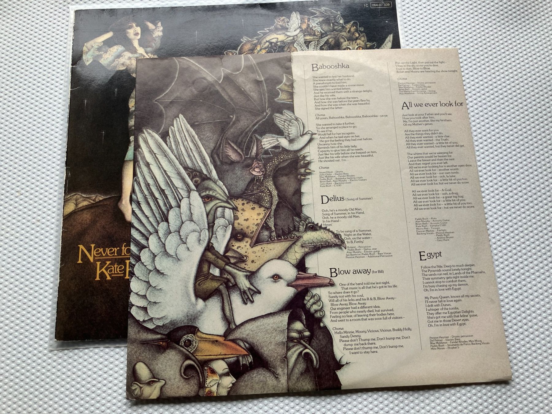 Dischi in vinile: Kate Bush – Usato da Aarwangen venduto da Jukebox3 3