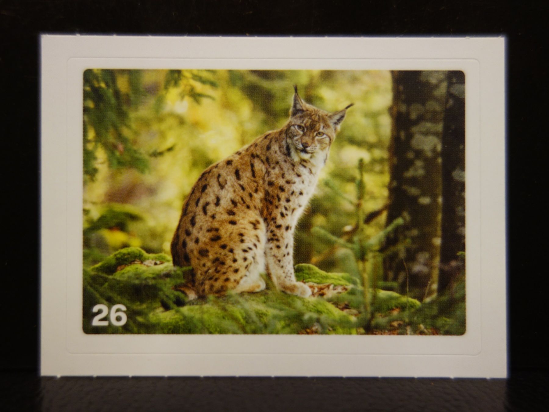 Migros Carte collezionabili: MIGROS MANIA Nature Detectives Nr. 26 – Nuovo e nell'imballaggio originale da Kerzers venduto da djstarsky73