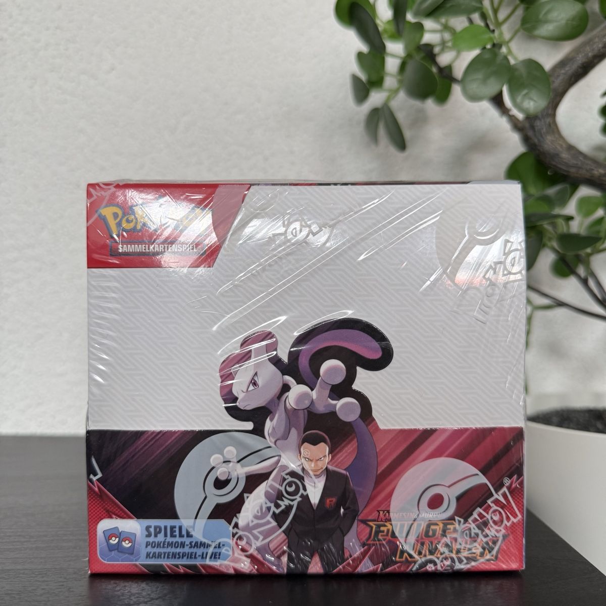 Pokémon Cartes à collectionner: EWIGE RIVALEN BOOSTER BOX / DISPLAY DE 2025💮 – Neuf avec emballage d'origine à Rickenbach LU par pokeblubi