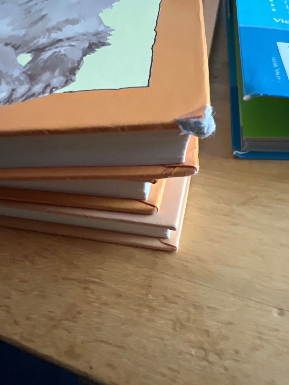 Libri: Loewe Tierbuch-Set: Maxi, Kiki, Anja – Usato da Wettingen venduto da Mbdc 6