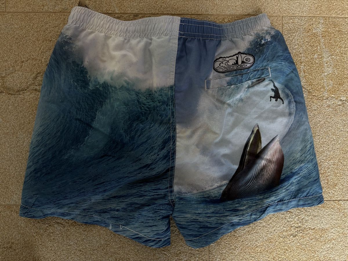 Molo Costumi da bagno: Molo Badehose, 158-164 – Usato da Liesberg Dorf venduto da Imagie 1