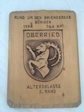 Libri: Auszeichnung  Brienzersee Bönigen – Usato da Brügg BE venduto da rutschimedizin
