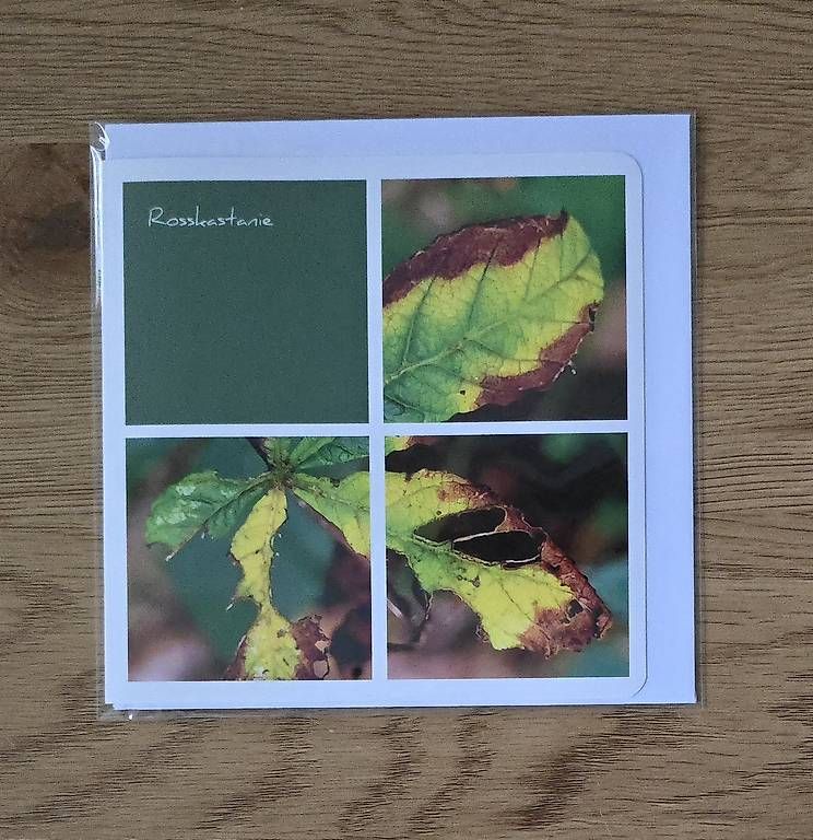 CDs: Collagekarte Rosskastanie – Neu und originalverpackt aus Chur von Frei3912
