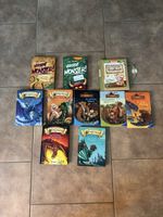 Kinderbuch Set guter Zustand