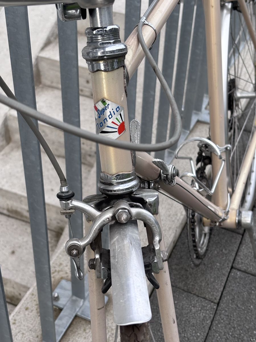 Mondia Biciclette: Mondia Renner – Usato da Mattstetten venduto da seven72 6