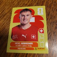Panini 26 AEBISCHER