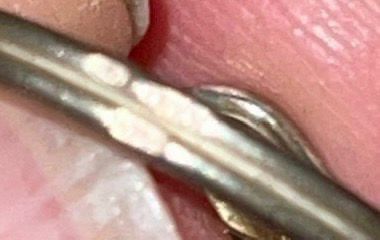 Ringe: Eleganter Damenring mit dunkler Perle, 16mm – Gebraucht aus Basel von Tierschutz-Flohmi 3