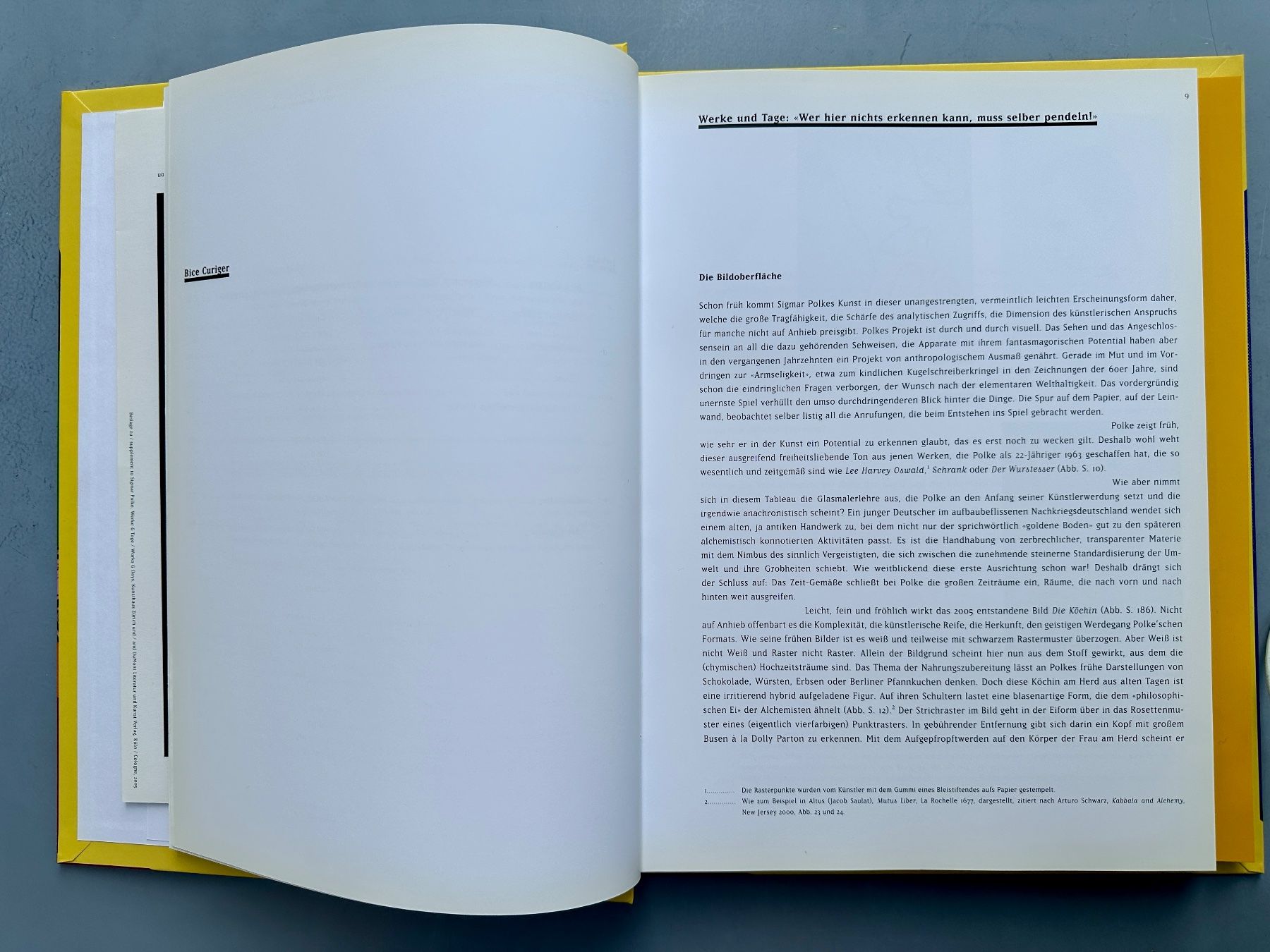 Libri: Bice Curiger: Sigmar Polke. Werke & Tage. – Usato da Zürich venduto da allp 4