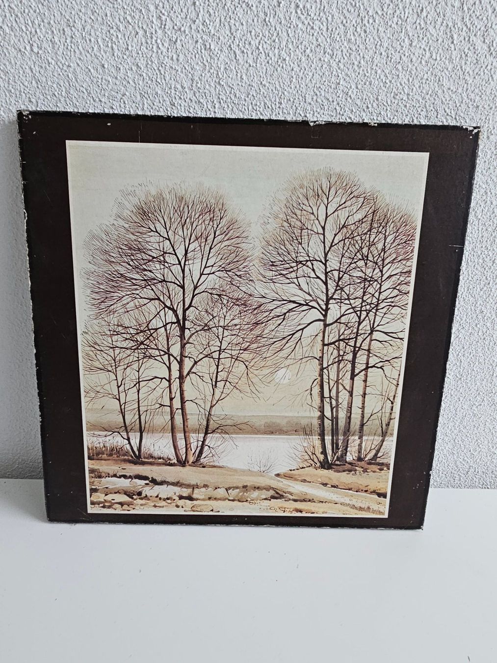Grafica & Litografie: Bild / Druck "Natur" Blockmount Distributors (16) – Usato da Sirnach venduto da windrad65