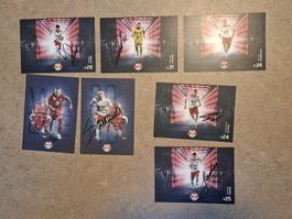 7x Red Bull Salzburg Autogrammkarten original