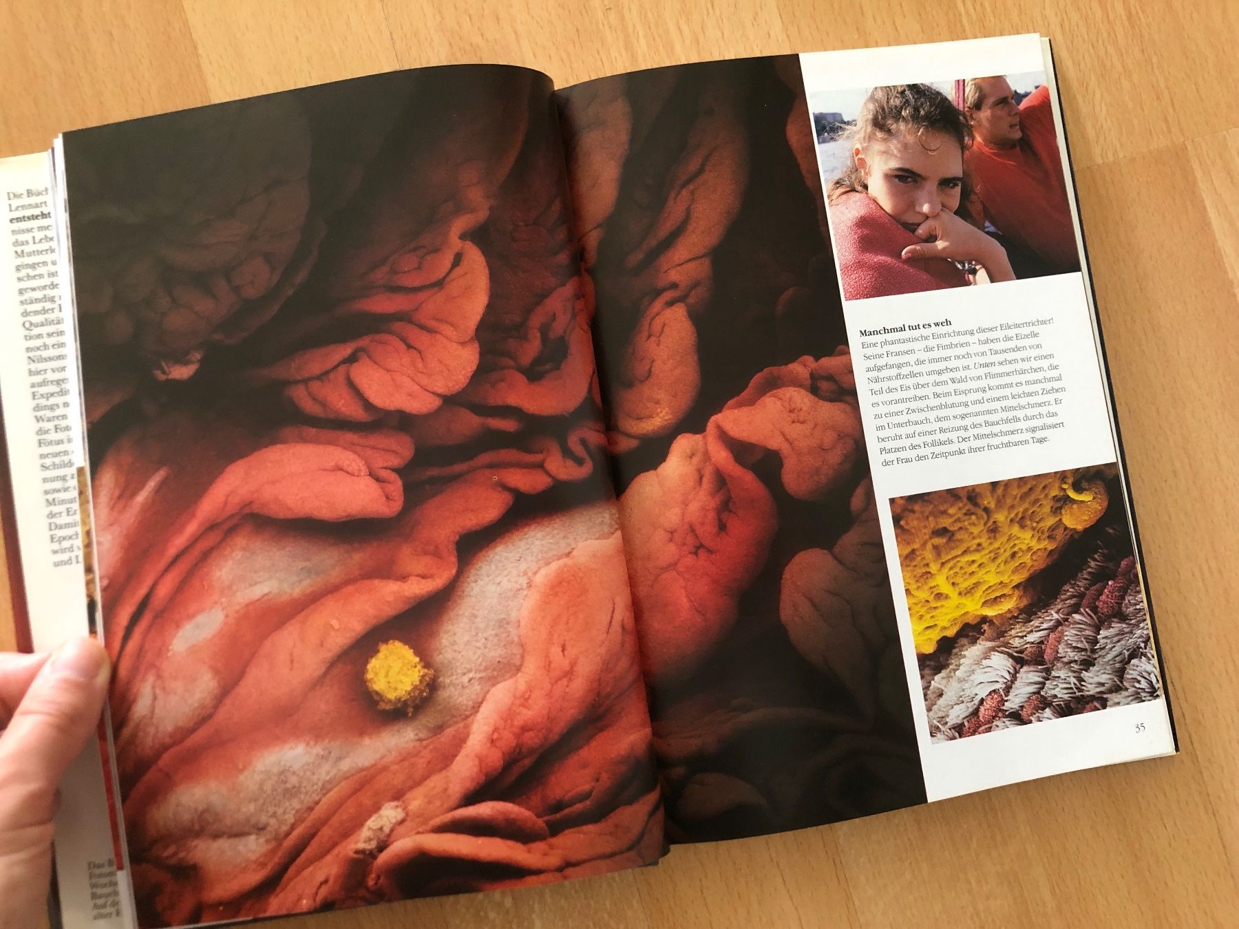 Libri: "Ein Kind entsteht" Buch – Usato da Veltheim AG venduto da Beazam 2