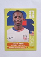 Panini Timothy Weah USA 12