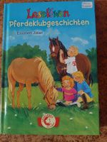 Pferdeklubgeschichten, Reiterferiengeschichten