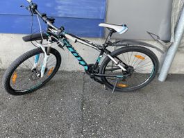 Velo Scott