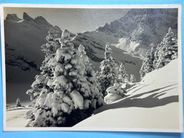Winterlandschaft bei Engelberg