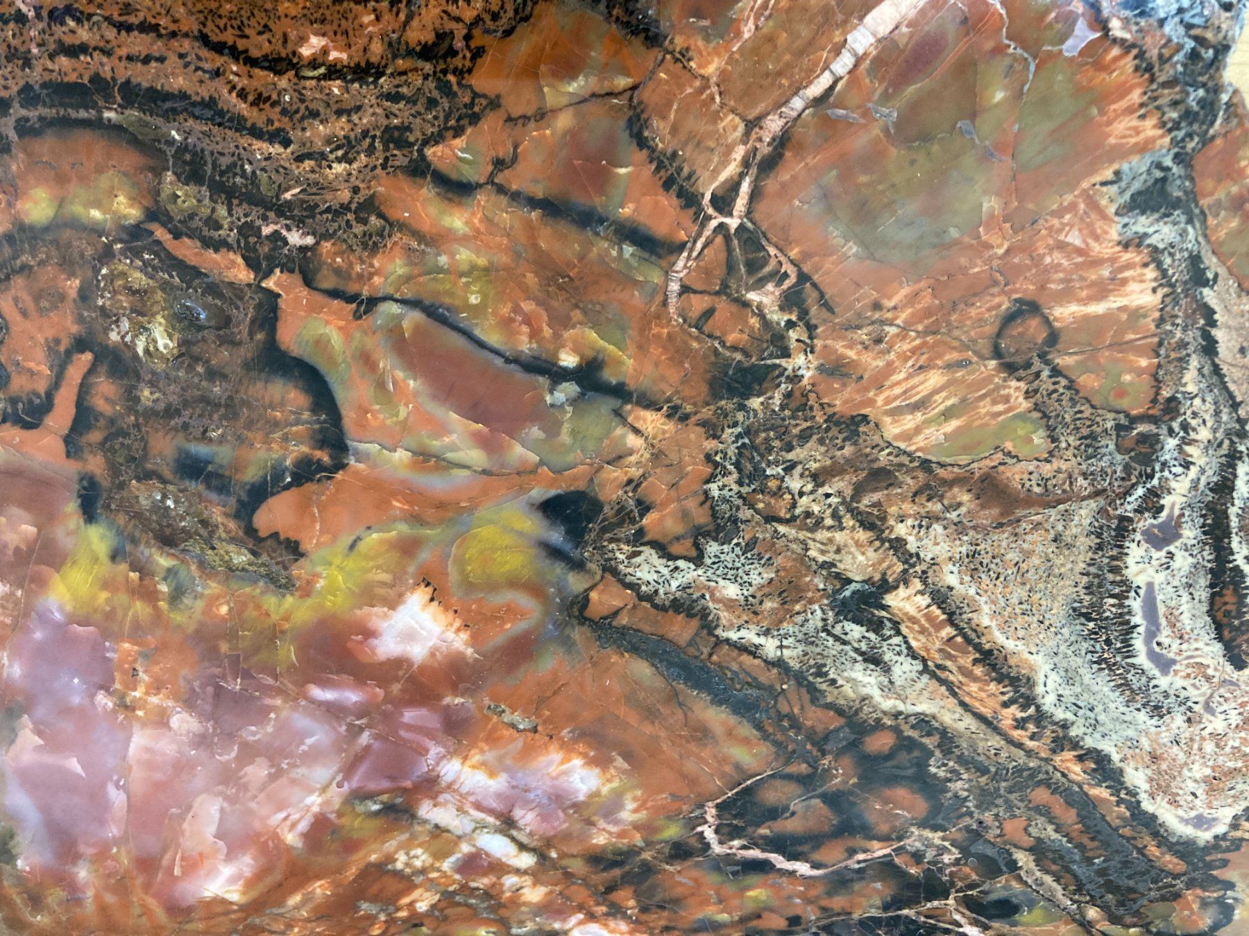Mineralien & Heilsteine: WUNDERSCHÖNE VERSTEINERTE  HOLZ - SCHEIBE  27,25 KILO – Neu und originalverpackt aus Aesch ZH von LiquidAktion 7