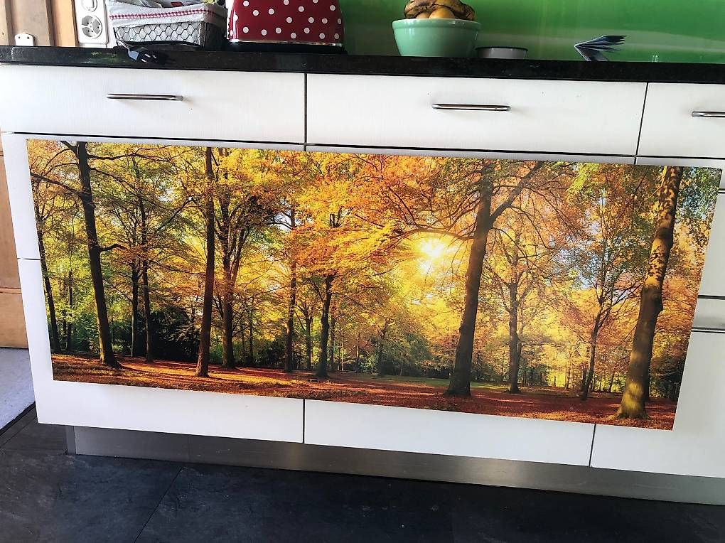 Foto & Immagini: Bild Herbstwald – Usato da Matten(St.Stephan) venduto da ren_r8tw 1