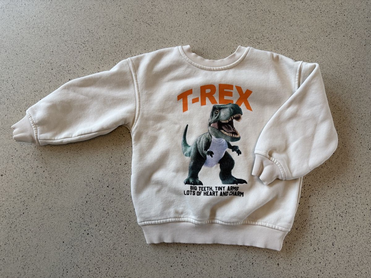 H&M Pullover & Sweatshirts: 3 x Sweatshirt 98/104 – Gebraucht aus Zürich von Cia91 2
