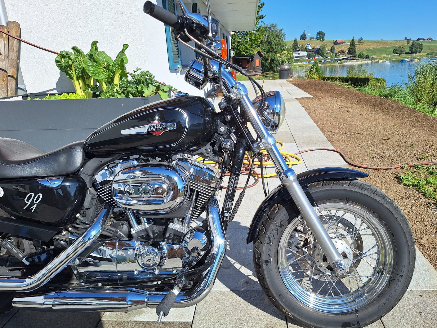 Harley-Davidson Chopper: Harley Davidson Sportster XL1200C – Gebraucht aus Einsiedeln von and_g7nb 4