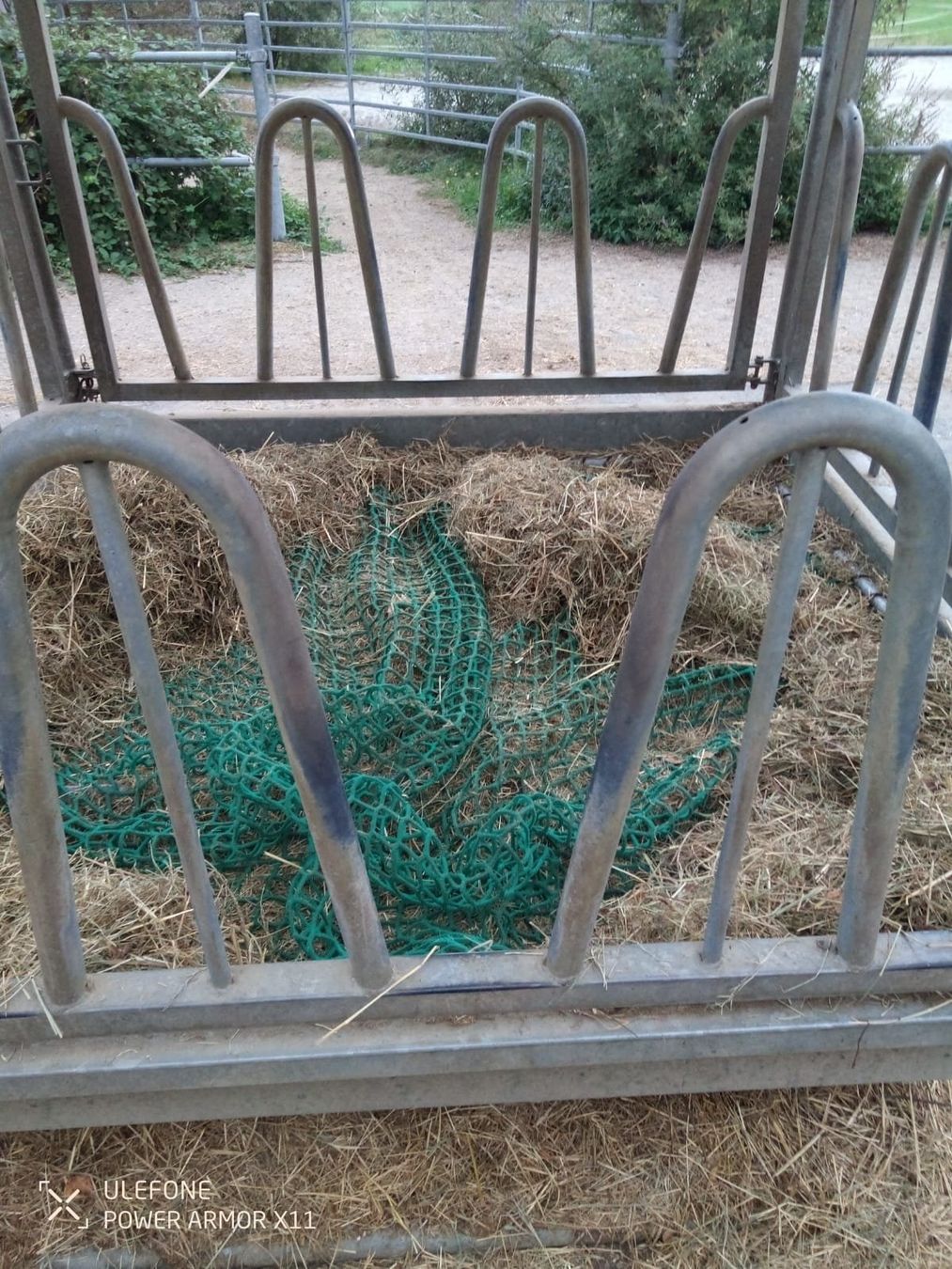 Altro in Accessori per animali: Pferde-Heuraufe mit Netz und Gummimatten – Usato da Grossaffoltern venduto da wee2821 3