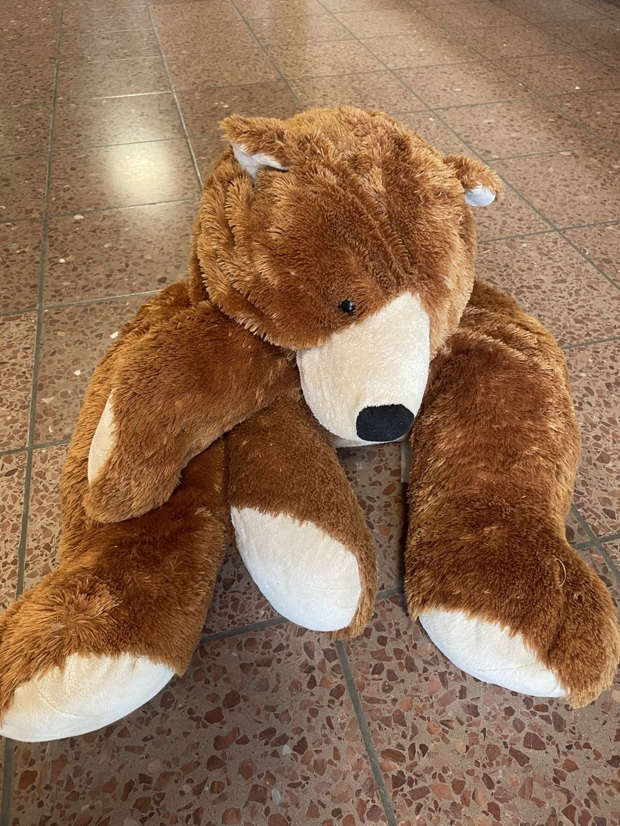 Spielzeuge: Grosser Teddybär – Gebraucht aus Siebnen von Jenny202