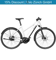 Riese & Müller Roadster4 vario