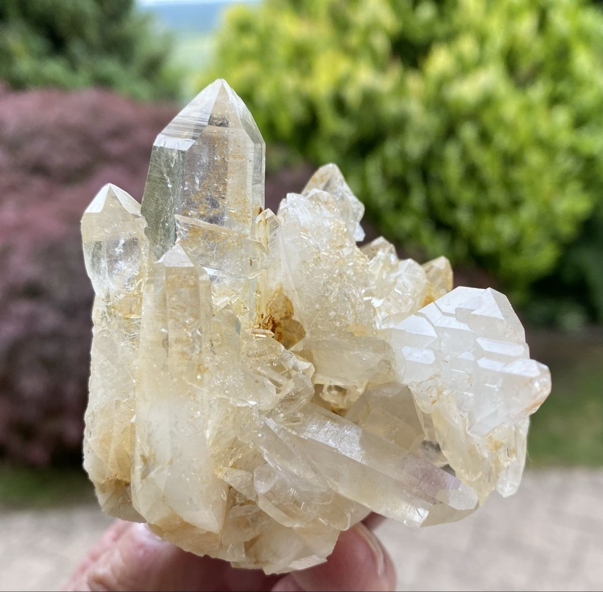 Minerali & Pietre curative: Schöne Bergkristall Stufe Schweiz  – Usato da Selzach venduto da 321compac 5