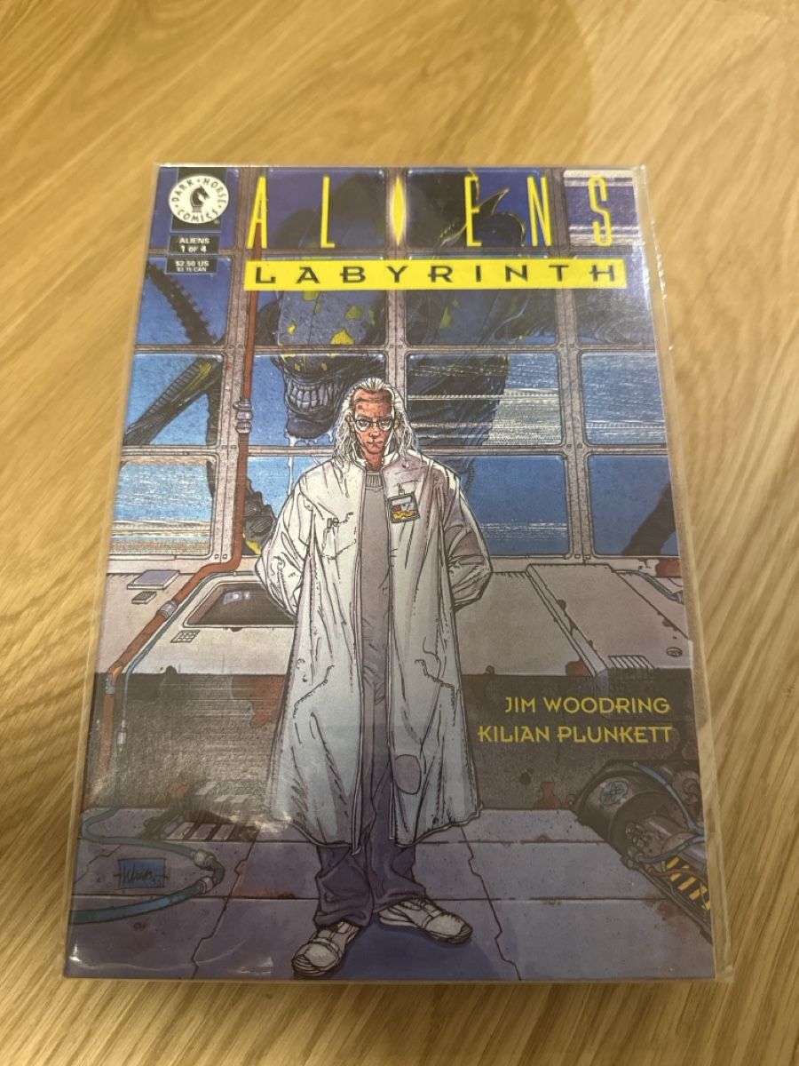 Comics: Comic Aliens Labyrinth 1 Dark Horse Comics – Gebraucht aus Buchrain von Steeefan