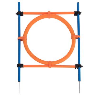 Giochi: Agility Fun & Sport Sprungring – Nuovo (secondo la descrizione) da Wangen SZ venduto da Jaay_Sky 2
