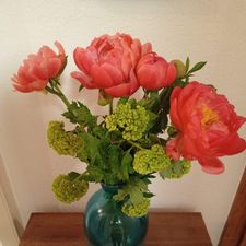 Profile image of Anoushka83