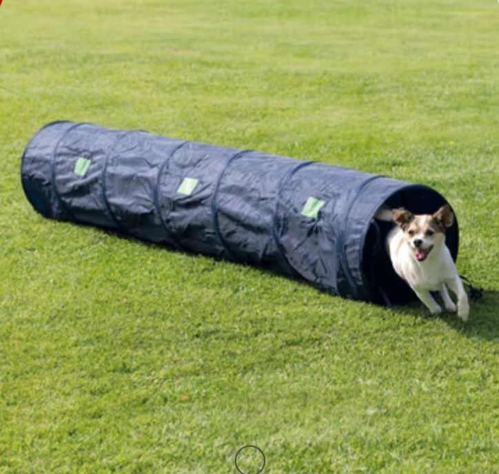 Agility tunnel Kaufen auf Ricardo